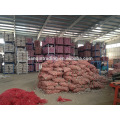 Chinese supplier of Jinxiang fresh garlic